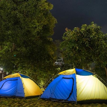 Dandeli Jungle Resort Eksteriør bilde